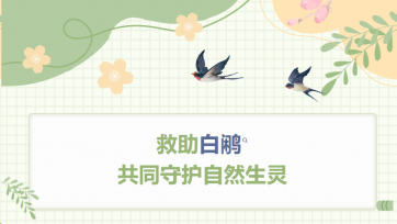 احفظ الحبار الأبيض وحماية المخلوقات الطبيعية بشكل مشترك